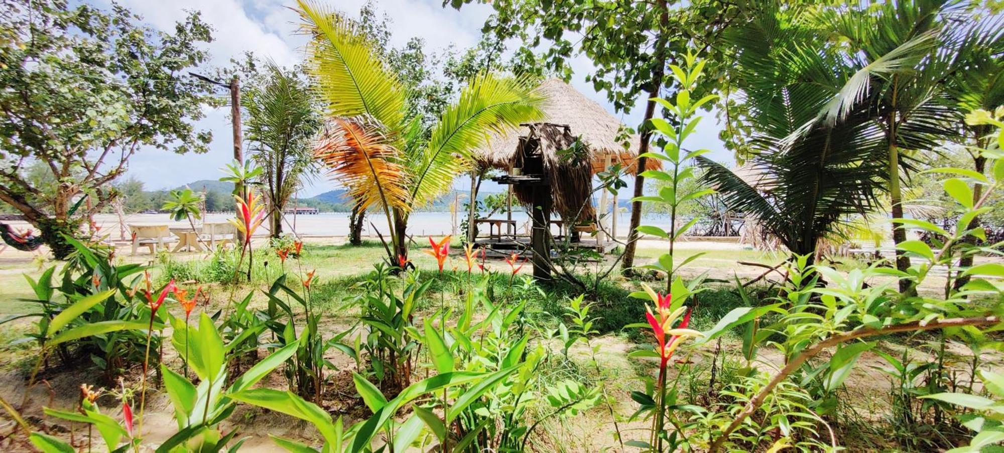 Mangrove Beach Bungalows Koh Rong Sanloem Exterior photo