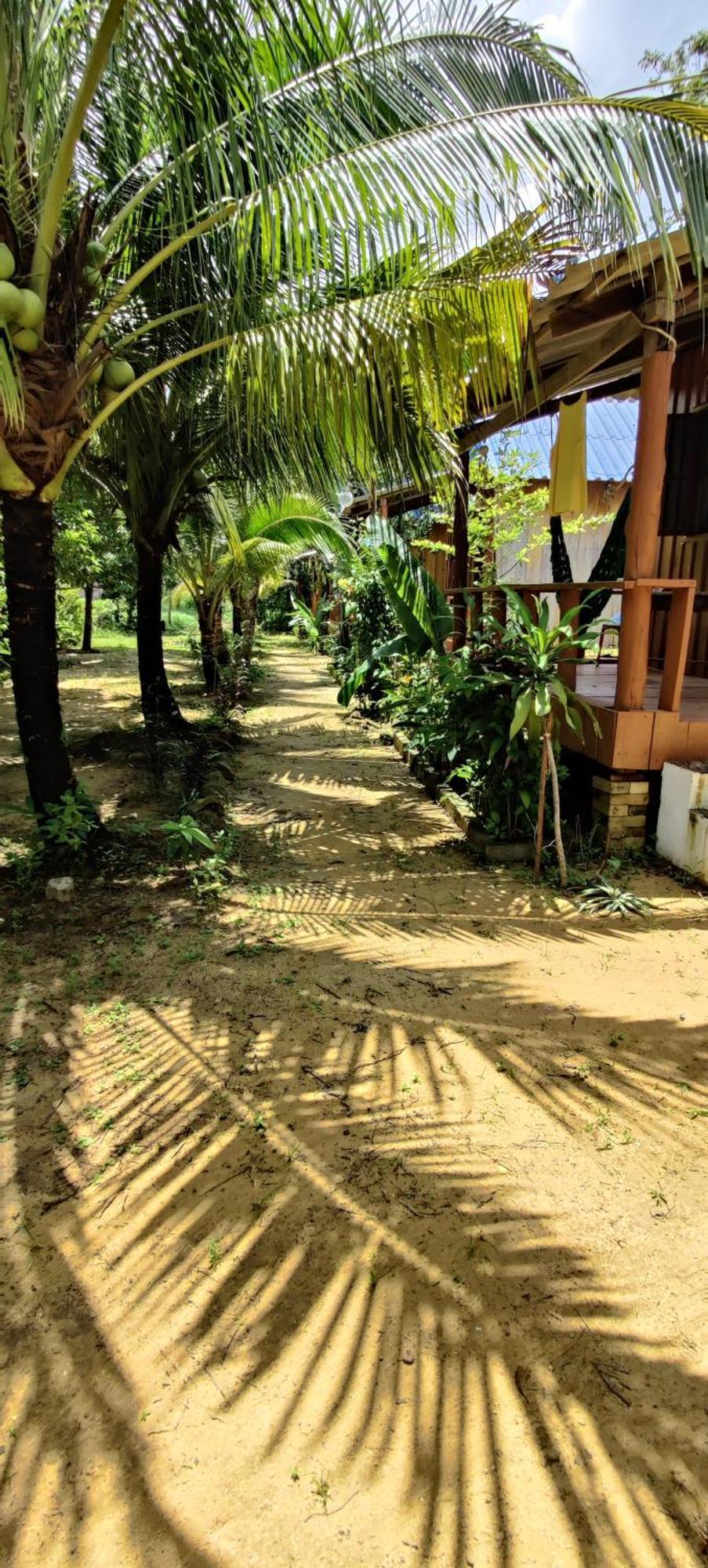 Mangrove Beach Bungalows Koh Rong Sanloem Exterior photo