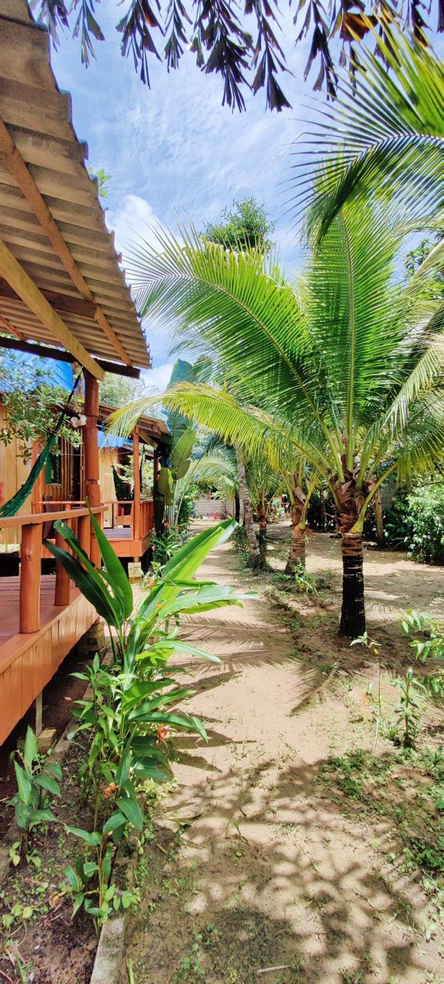 Mangrove Beach Bungalows Koh Rong Sanloem Exterior photo